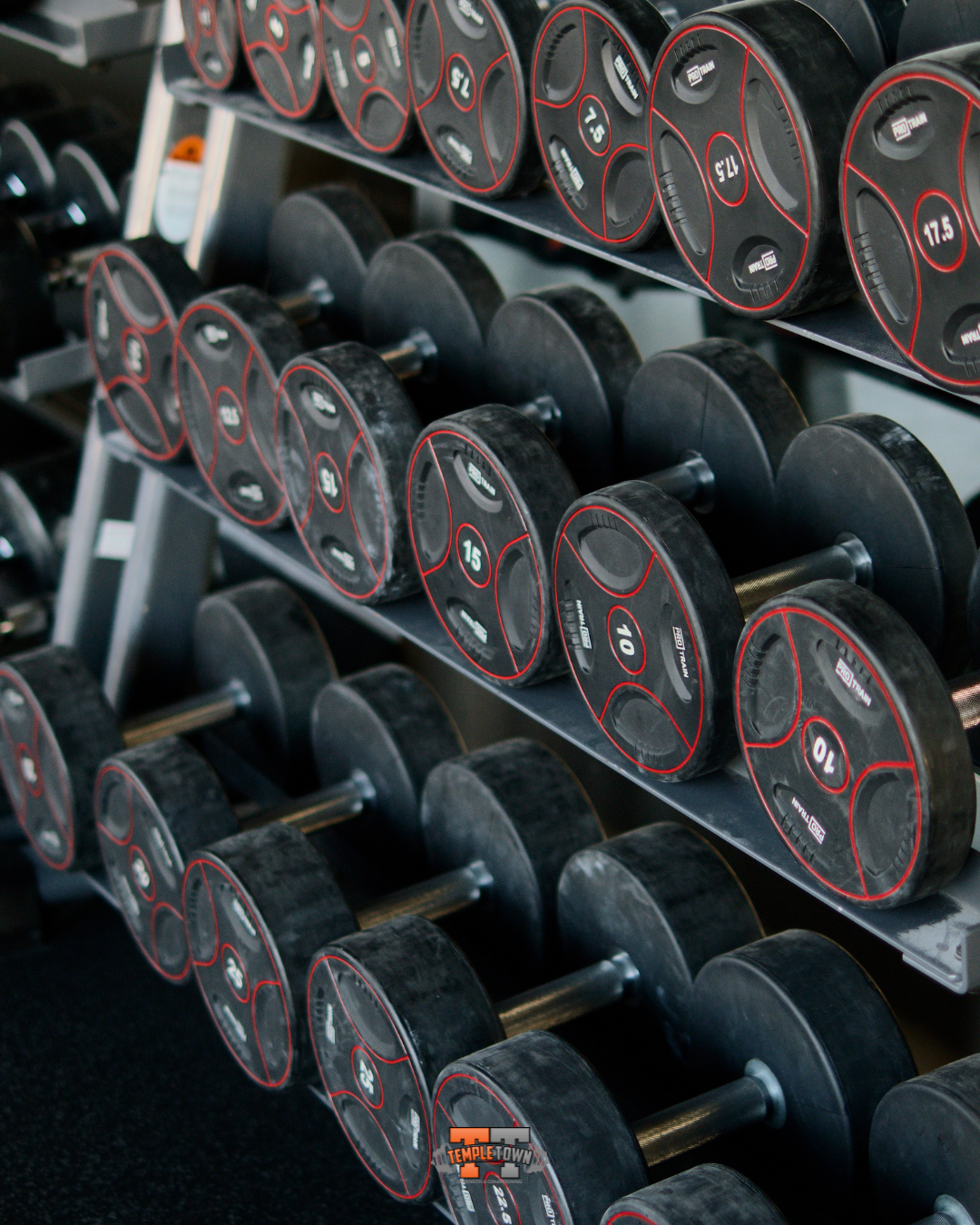 Performance tracking and metrics at Templetown Strength & Conditioning